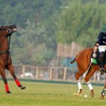 battle axe polo - Master Paints Sheikhoo Reach Battle Axe Polo Final