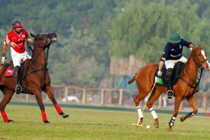 battle axe polo - Master Paints Sheikhoo Reach Battle Axe Polo Final