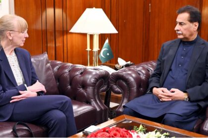 germany pakistan ties - German Ambassador Meets NA Speaker on Germany Pakistan Ties