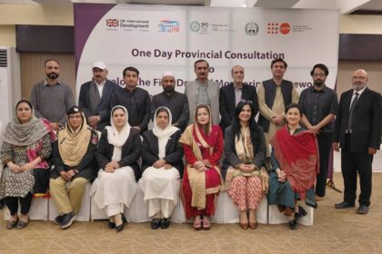 domestic violence monitoring - KP Consultation Develops Domestic Violence Monitoring