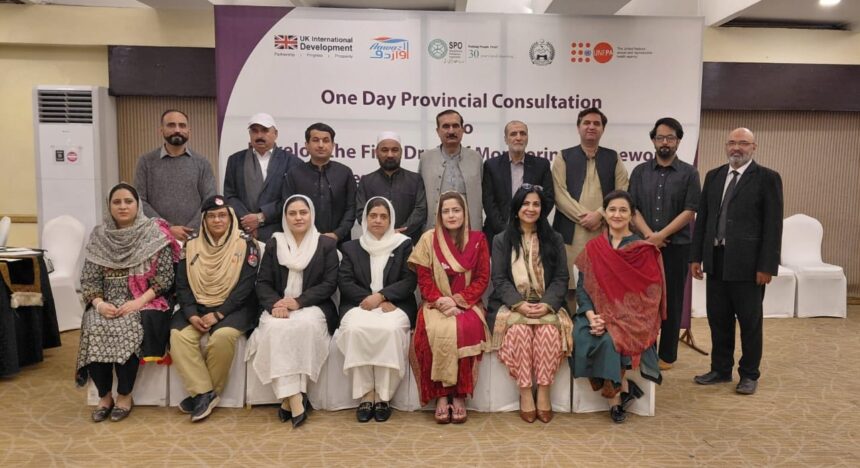 domestic violence monitoring - KP Consultation Develops Domestic Violence Monitoring