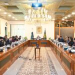 pakistan missions - Deputy PM Reviews Pakistan Missions Efficiency