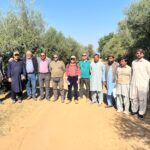 olive nursery - OliveCulture Team Advises Izhar Olive Nursery