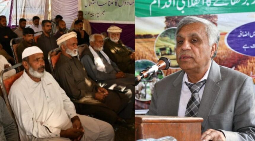 wheat campaign - VC Visits Wheat Campaign 2025 and Advises Farmers
