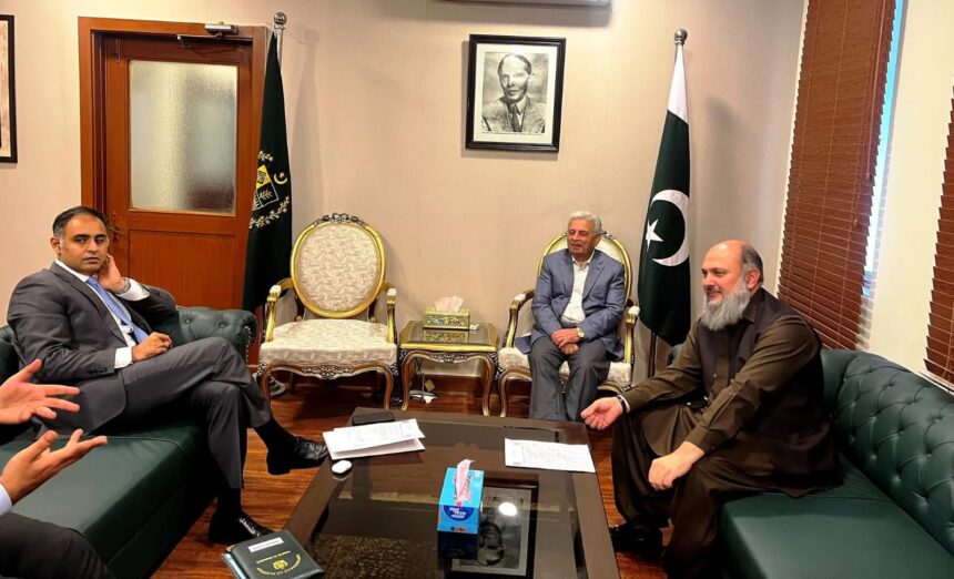 ceos meeting - Federal Ministers Discuss CEOs Meeting and Investment