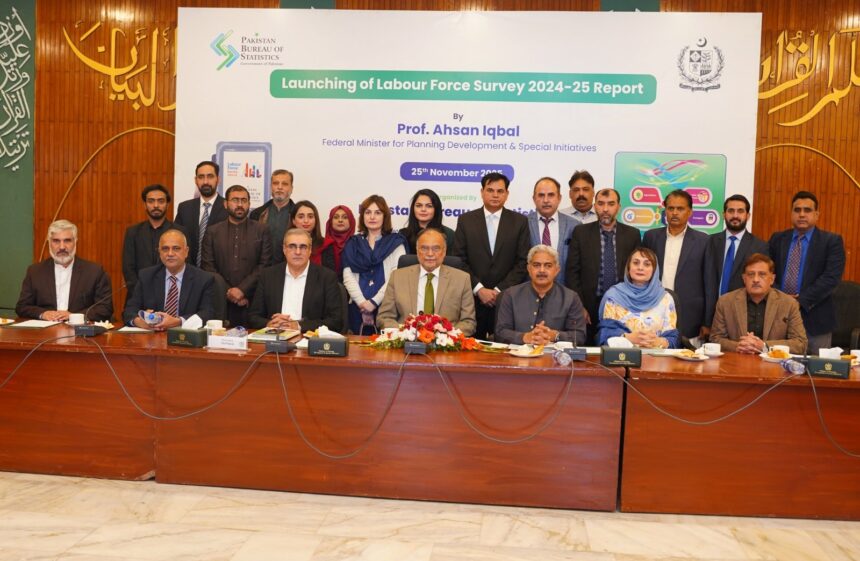 labour force survey - Pakistan Launches Labour Force Survey 2024