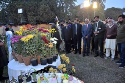flower show - UAF Hosts Flower Show and Flood Dialogue 2025