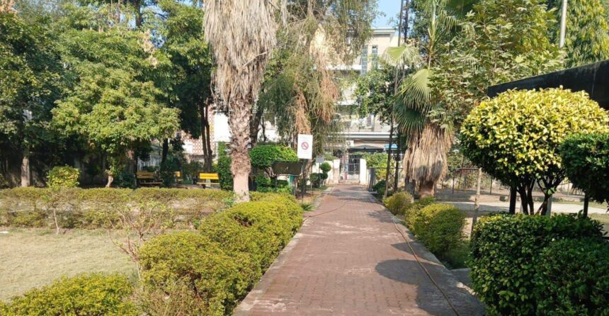 children park rawalpindi - Horticulture Agency Beautifies Children Park Rawalpindi