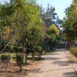 horticulture rawalpindi - Horticulture Rawalpindi Beautifies Atta-ur-Rehman Park
