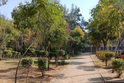 horticulture rawalpindi - Horticulture Rawalpindi Beautifies Atta-ur-Rehman Park