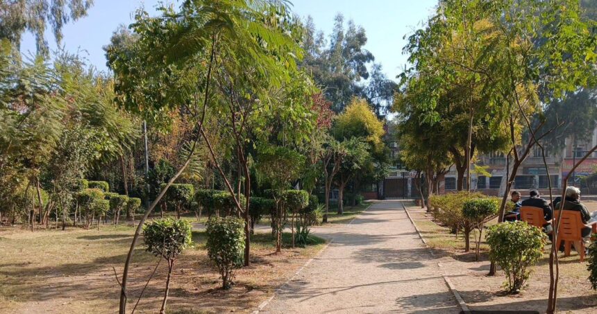 horticulture rawalpindi - Horticulture Rawalpindi Beautifies Atta-ur-Rehman Park