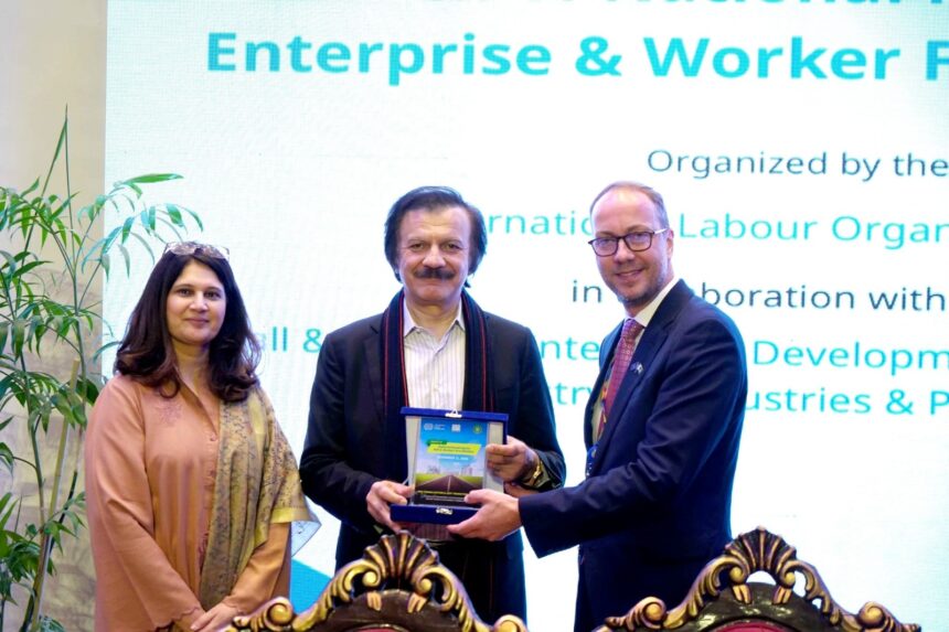 sme formalization - Pakistan Launches SME Formalization Roadmap