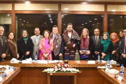 pakistan finland ties - Pakistan Finland Parliamentary Meeting Strengthens Ties