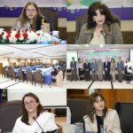 cop30 dialogue - ISSI Hosts COP30 Dialogue with CSCCC and French Embassy