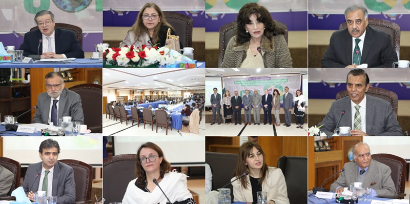 cop30 dialogue - ISSI Hosts COP30 Dialogue with CSCCC and French Embassy