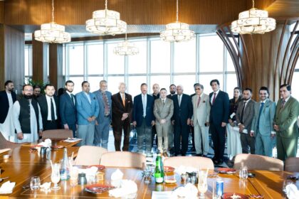 economic stability - Economic Stability Shapes Pakistan's Future