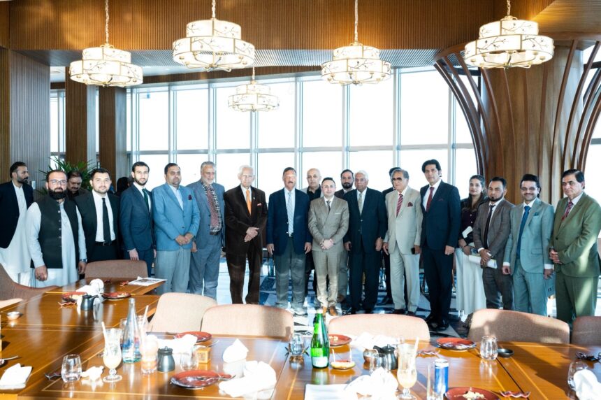 economic stability - Economic Stability Shapes Pakistan's Future