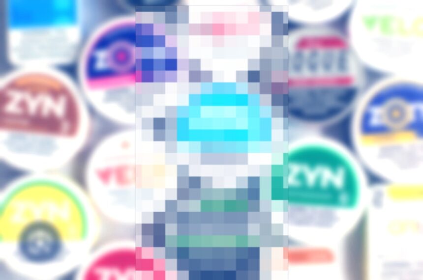 velo pouches - Velo Pouches Contain Diverse Flavour Chemicals