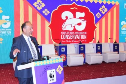 indus river dolphin - Federal Minister Champions Indus River Dolphin Conservation