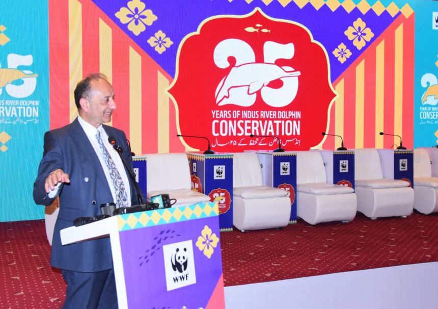 indus river dolphin - Federal Minister Champions Indus River Dolphin Conservation