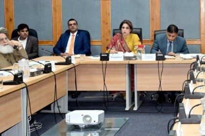 senate telecom - Senate Telecom Committee Reviews Services