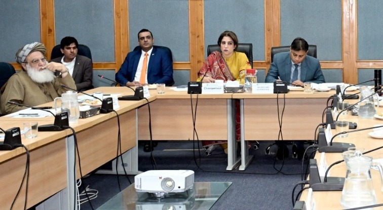 senate telecom - Senate Telecom Committee Reviews Services