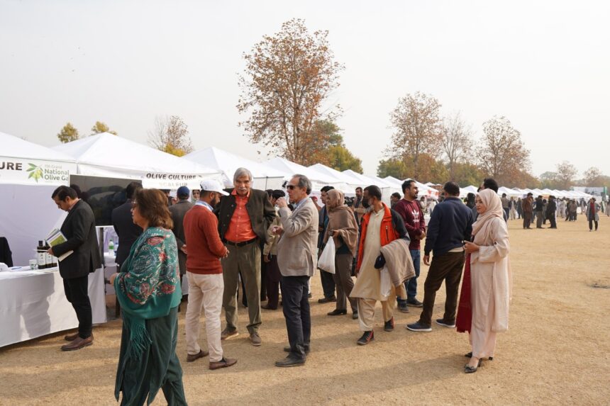 olive gala - Olive Gala 2025 Opens in Islamabad
