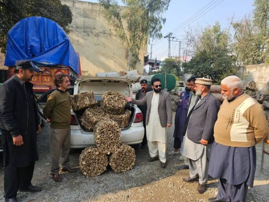 walnut bark seizure - Walnut Bark Seizure Near Chichiyan Interchange