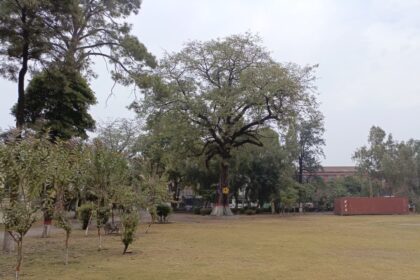 liaquat bagh - Horticulture Agency Beautifies Liaquat Bagh for New Year