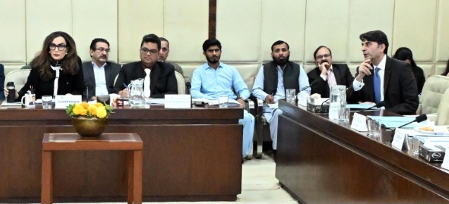 paper mulberry - Islamabad Moves to Control Paper Mulberry Pollen