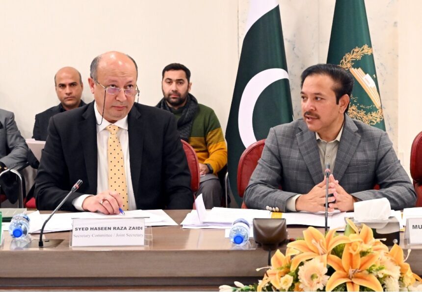 parliamentary rules - National Assembly Advances Parliamentary Rules Amendments