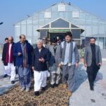 speed breeding - Pakistan Launches Speed Breeding Facilities