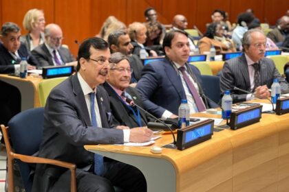 swat project - Senate Committee Flags Transparency Issues in SWAT Project