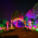 millia park - Millia Park Shines After Punjab Beautification Drive