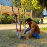 millia park beautification - Millia Park beautification by Rawalpindi Horticulture