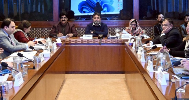 virtual assets bill - Senate Committee Reviews Virtual Assets Bill