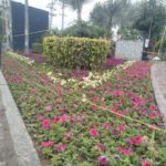 rawalpindi beautification - Rawalpindi beautification completed ahead of Eid