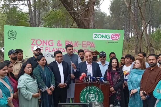 tree plantation - Islamabad to Begin Weekly Tree Plantation Drives