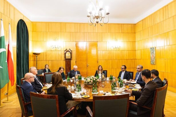 naqvi poland - Naqvi Poland Visit Welcomed at PM Chancellery