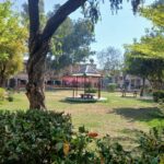 liaquat bagh - Horticulture Agency Beautifies Liaquat Bagh