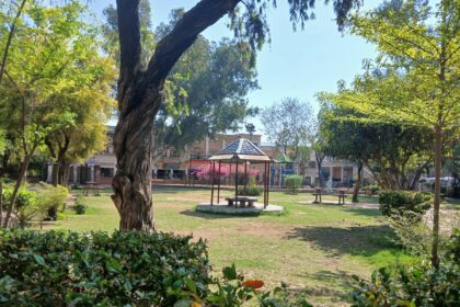 liaquat bagh - Horticulture Agency Beautifies Liaquat Bagh