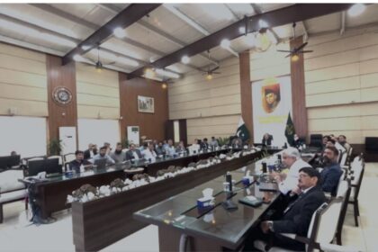 punjab development - PDWP Approves Major Punjab Development Projects