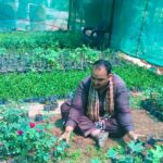 rawalpindi horticulture - Rawalpindi Horticulture Strengthens Nursery Care