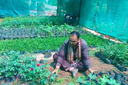 rawalpindi horticulture - Rawalpindi Horticulture Strengthens Nursery Care