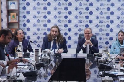 ev transition - Experts Push Fast EV Transition for Pakistan