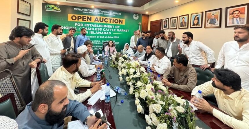 temporary cattle markets - Islamabad Auctions Six Temporary Cattle Markets