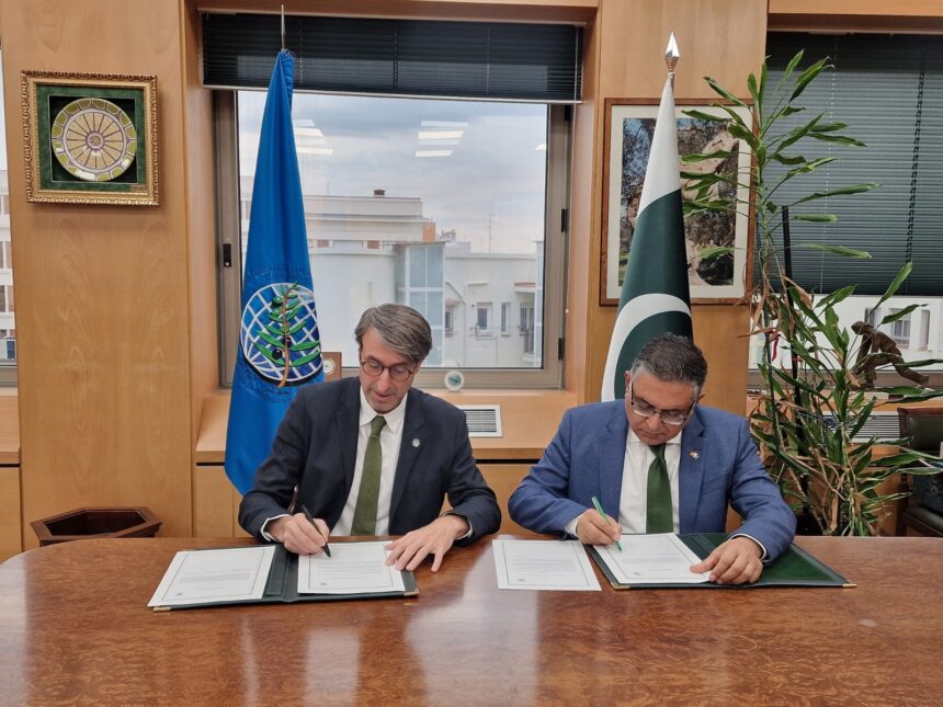 international olive council - Pakistan Joins International Olive Council