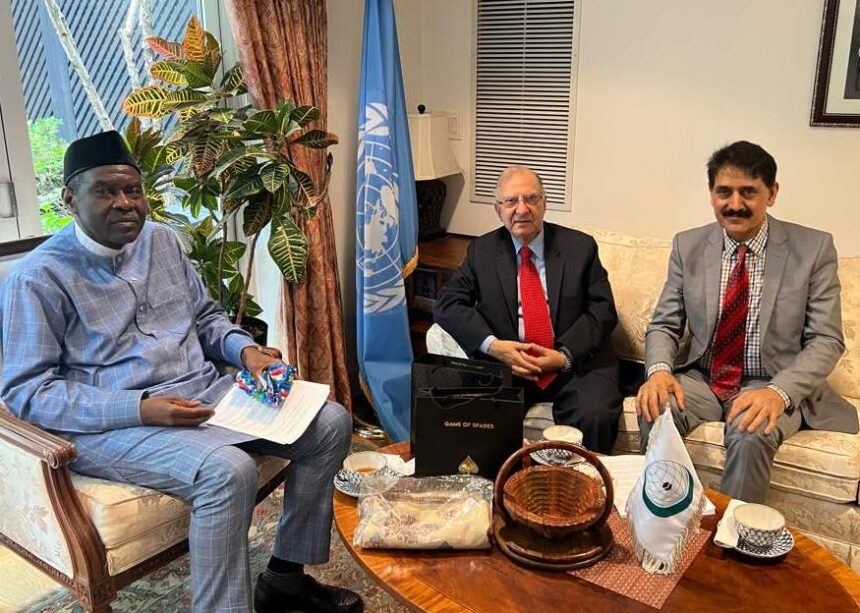 OIC meeting at the UN on Kashmir dispute