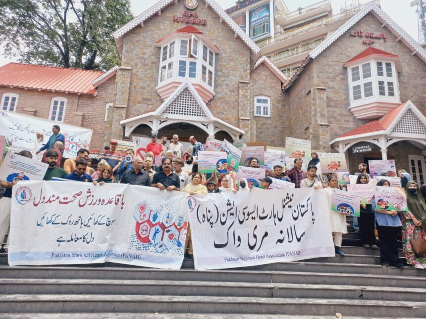 pakistan ncds - PANAH Annual Walk Warns on Pakistan NCDs Crisis