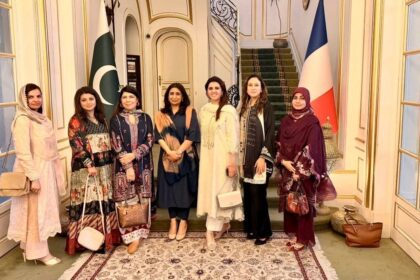 ndu delegation - NDU delegation meets ambassador in Paris